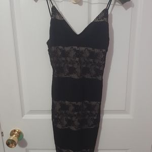 NWT Dynamite Bodycon Dress